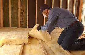 Eco-Friendly or Green Insulation Solutions in Genoa, OH